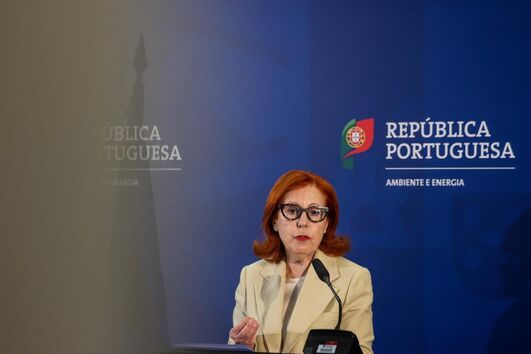 Maria da Graça Carvalho