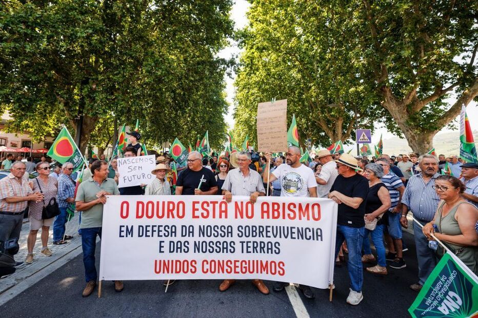 Viticultores protestam na Régua contra crise no Douro e exigem medidas de apoio