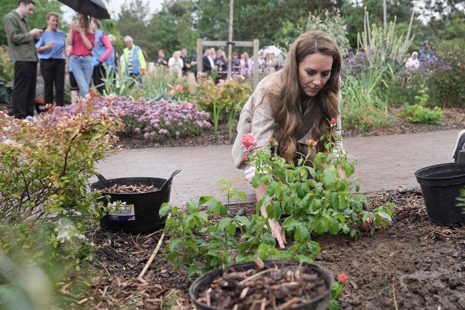 Kate Middleton planta roseiras num jardim durante visita a hospital em Essex