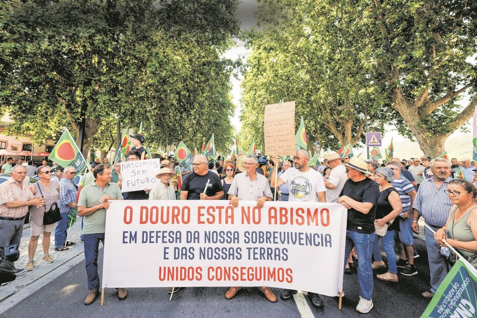 Viticultores protestam no Douro por apoios e alertam para a crise.
