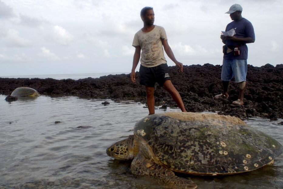 Ilhas Bigajós aguardam decisão da UNESCO para Património Mundial