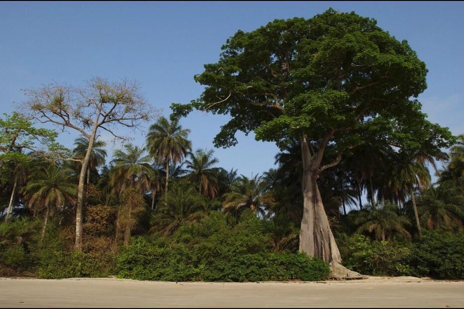 Paisagem das ilhas Bigajós, que ambicionam ser Património Mundial da UNESCO