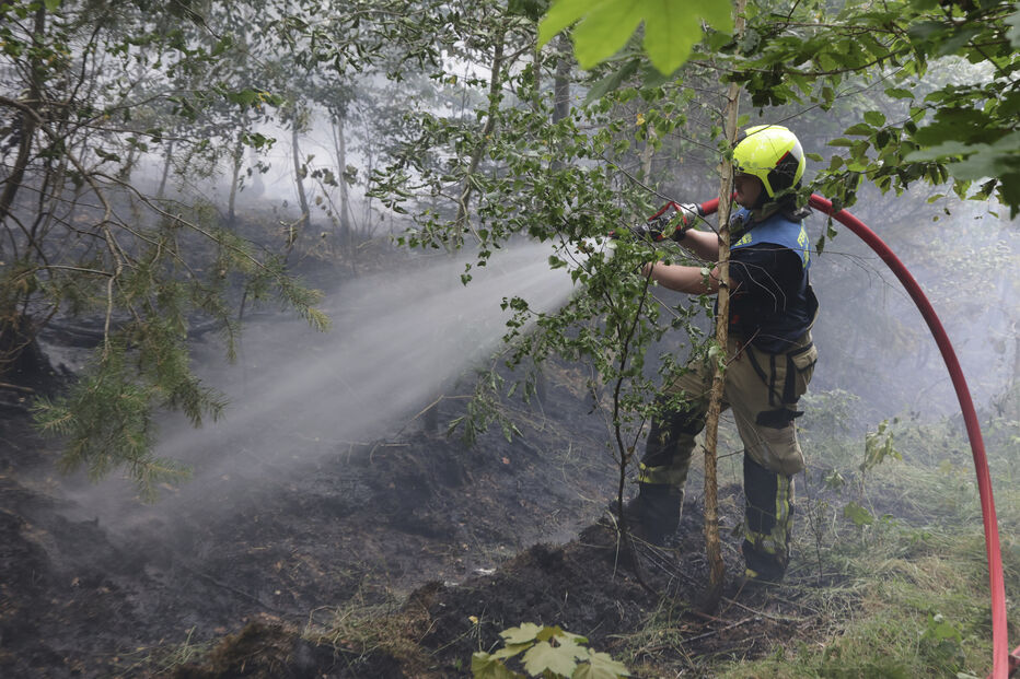 Incêndios na Turíngia, Saxónia e Brandeburgo levam à declaração de 