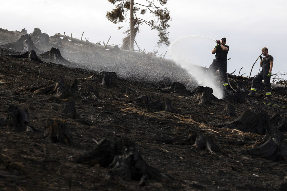 Bombeiros combatem incêndio florestal na Turíngia, estado alemão em 