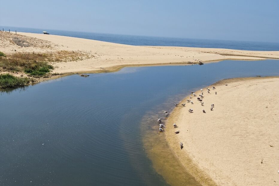 Poluição no rio Onda, Angeiras, ameaça saúde pública. Matosinhos exige ação