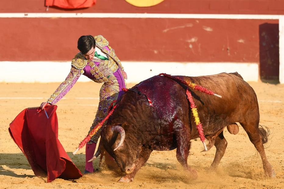 Sérgio Rollón sofre cornada grave na coxa durante tourada em Valdetorres de Jarama, Espanha