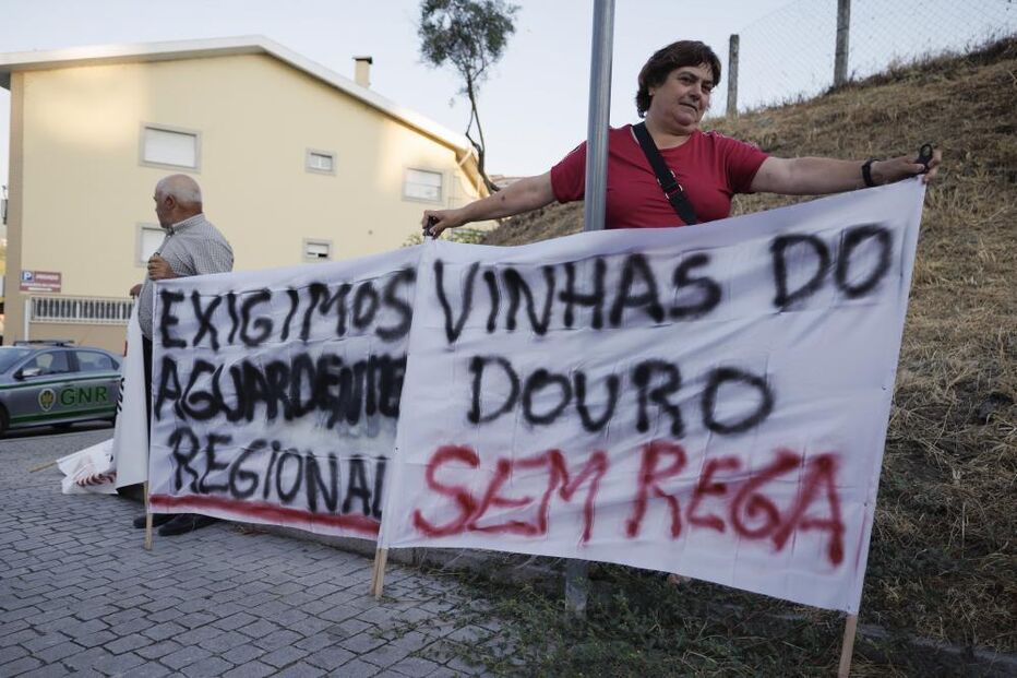 Viticultores deixam carrinhas e tratores e a pé bloqueiam ponte da Régua