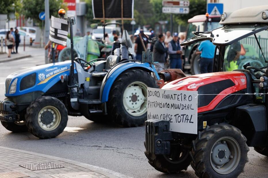 Viticultores deixam carrinhas e tratores e a pé bloqueiam ponte da Régua