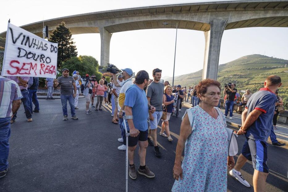 Viticultores deixam carrinhas e tratores e a pé bloqueiam ponte da Régua