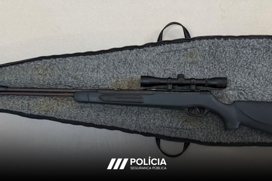A Polícia apresenta uma arma de fogo apreendida