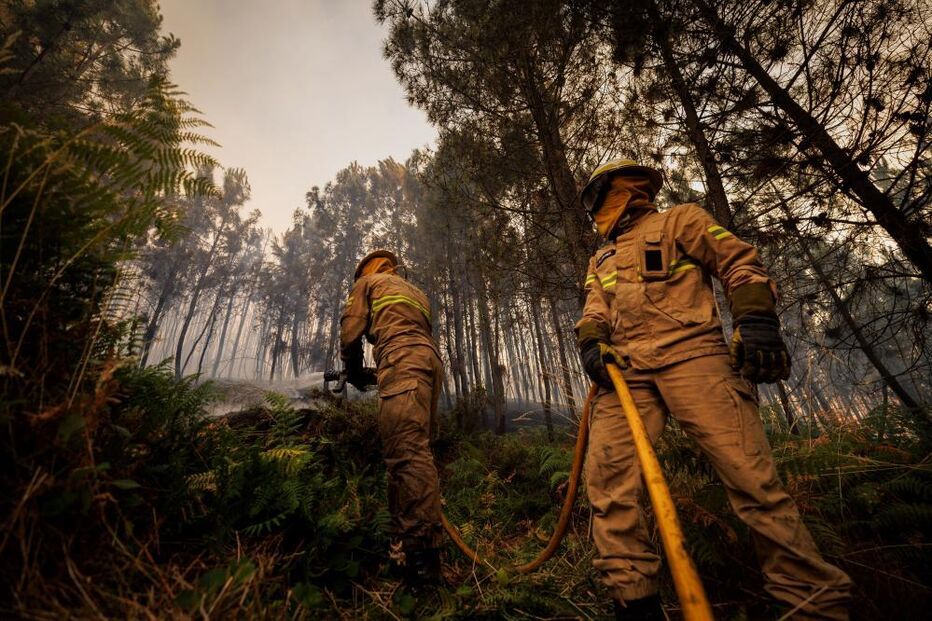 Operacionais no local
