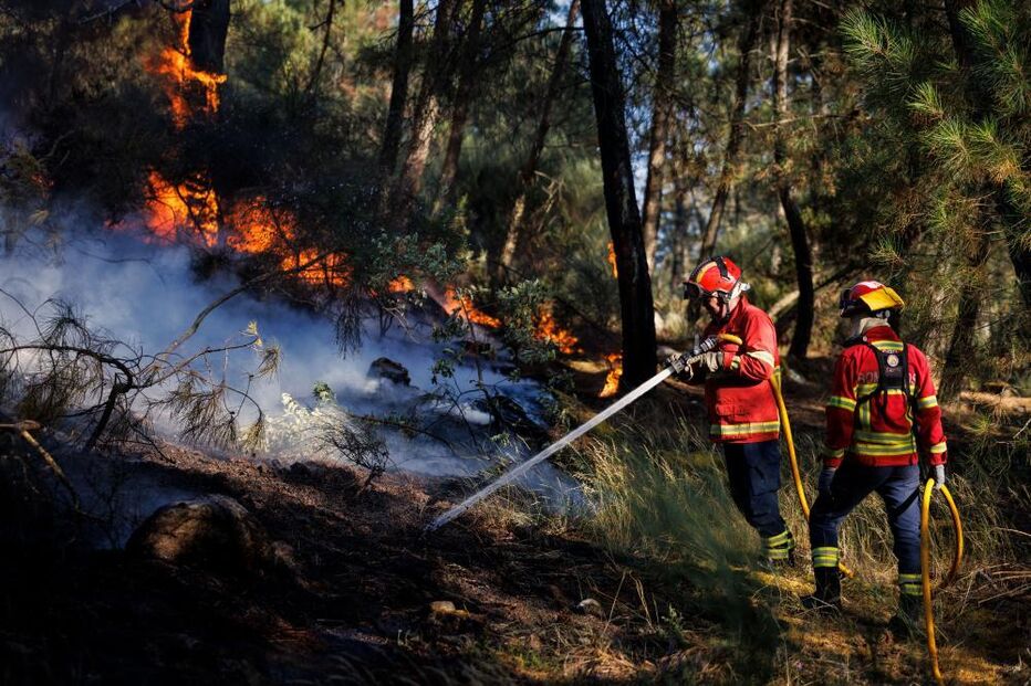 Bombeiros no combate às chamas em Sabrosa