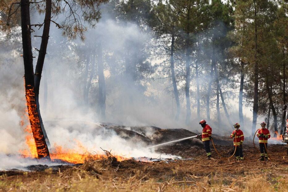 Incêndio em Sabrosa com 90% do perímetro controlado. Vão continuar no terreno mais de 280 operacionais