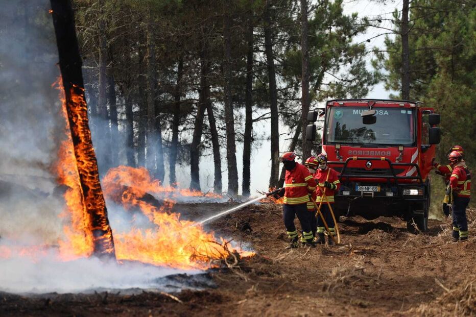 Incêndio em Sabrosa com 90% do perímetro controlado. Vão continuar no terreno mais de 280 operacionais