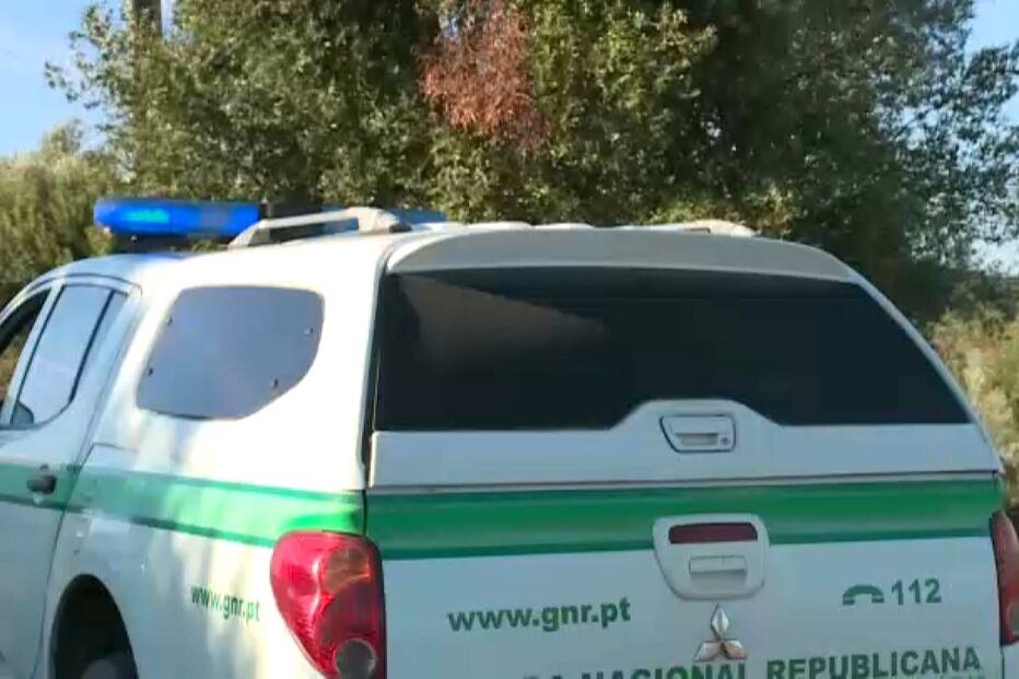 Incêndio no Cartaxo perto da linha férrea mobilizou operacionais e cortou circulação