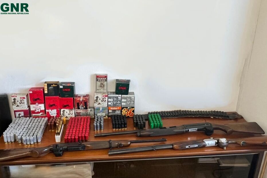 Apreensão de armas e munições na Chamusca