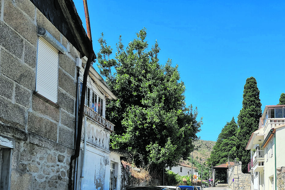 Francisca desapareceu em Tabuaço no dia 20 de julho e nunca mais foi vista. Os familiares temem pela sua vida