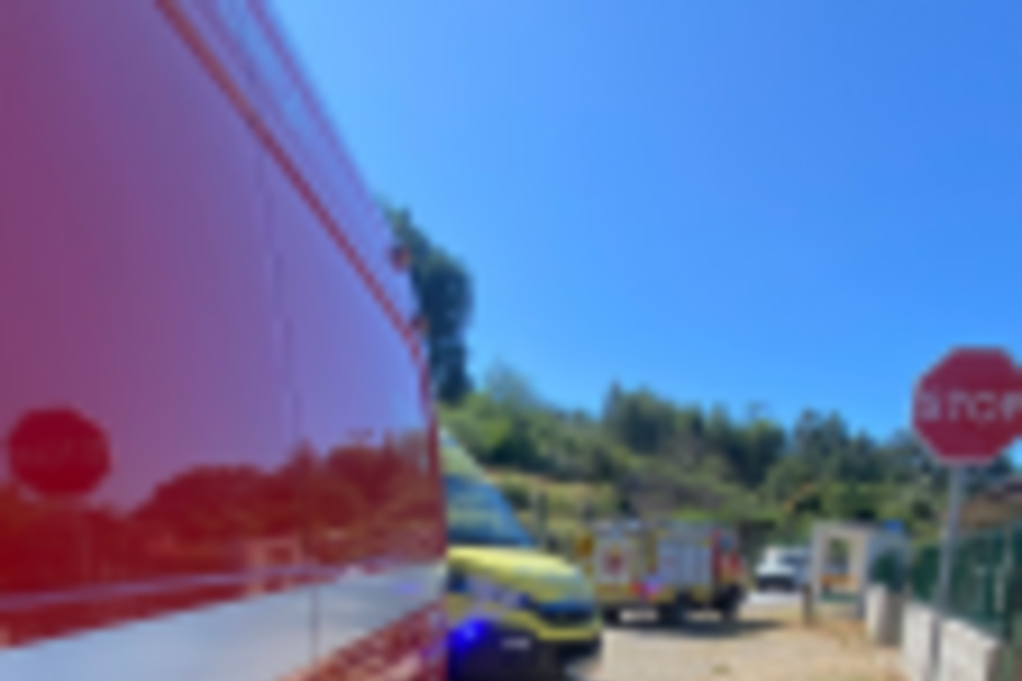 Ambulâncias e veículos de emergência estacionados numa rua com vegetação