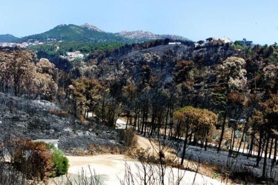 Incêndios levam ao encerramento da Serra de Sintra e monumentos devido a risco elevado