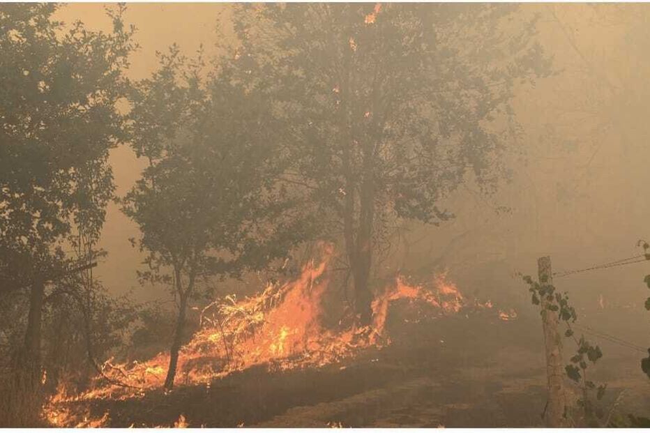 Incêndio em Ponte da Barca