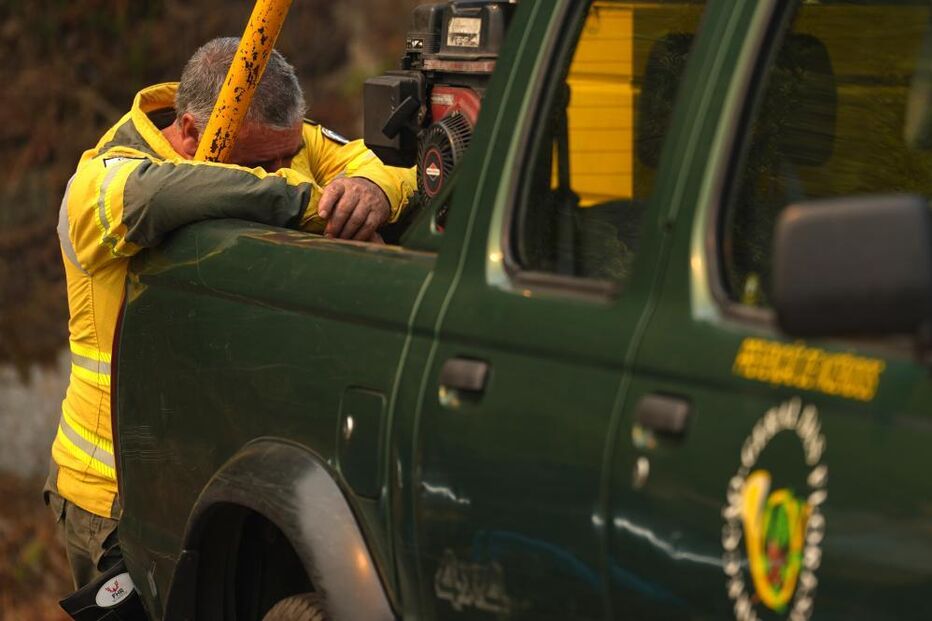  Elemento do Instituto da Conservação da Natureza e das Florestas