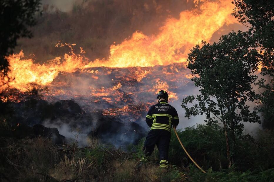 Fogo causa destruição em Penamacor. Bombeiros combatem as chamas