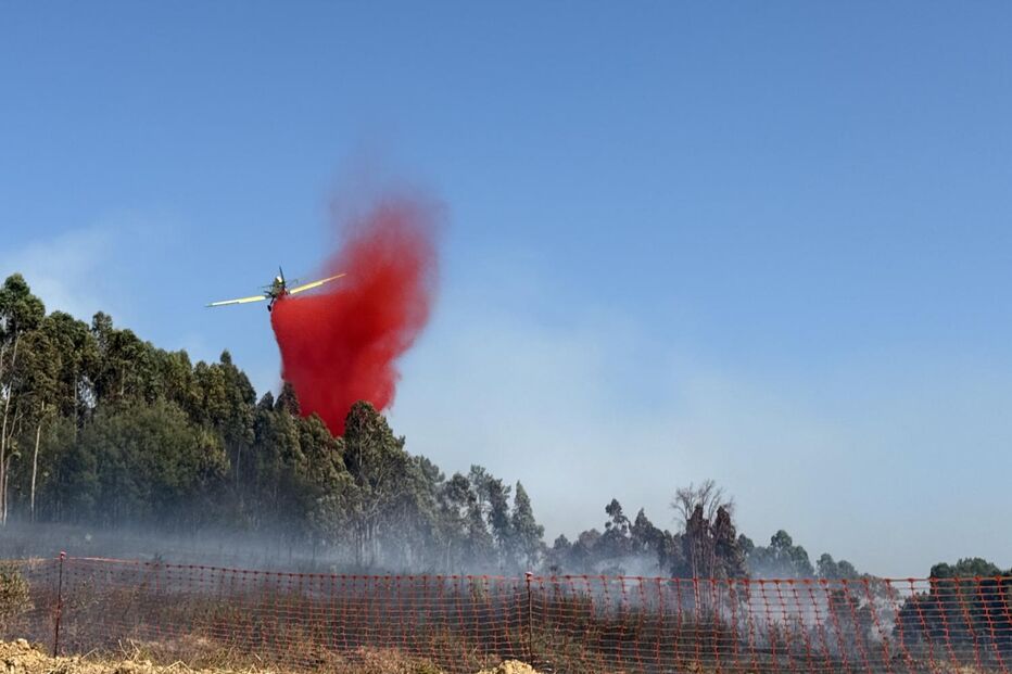 Fogo em Penamacor causa miséria e destrói meios de vida