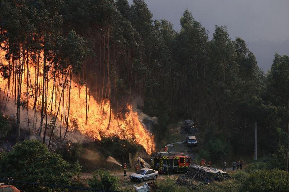 Incêndio causa miséria em Penamacor, Bemposta e Aldeia do Bispo