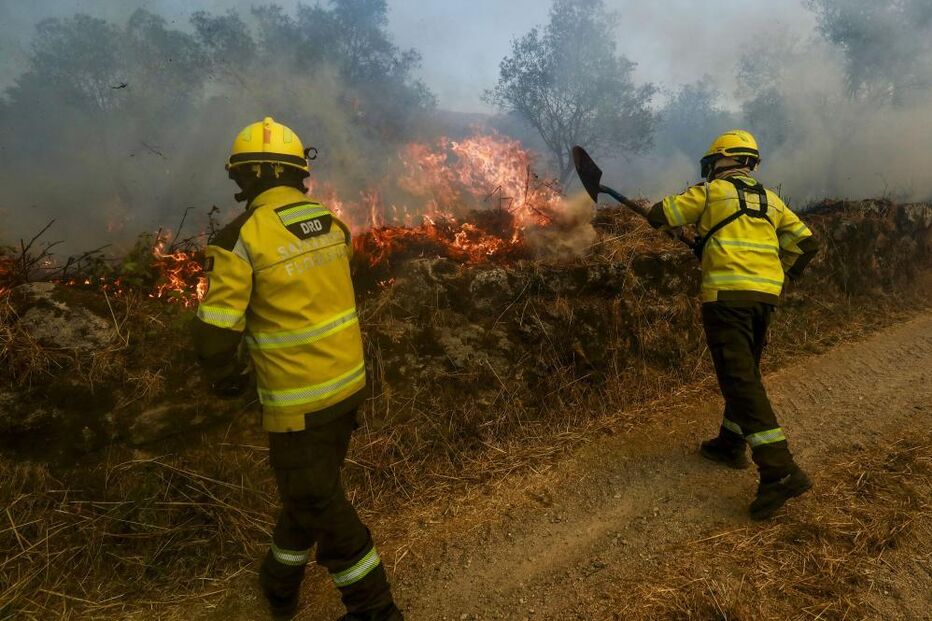 Bombeiros combatem incêndio florestal em Arouca, Cinfães e Castelo de Paiva