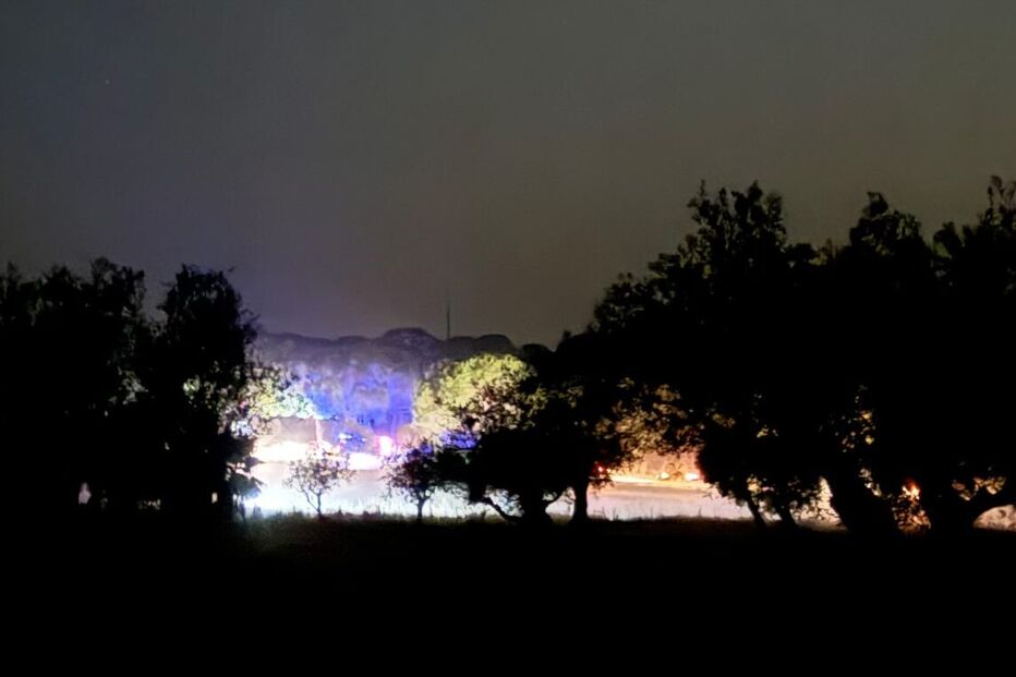 Sara Prata mostra incêndio