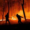 <![CDATA[ Especialista alerta que incêndios, poeiras e calor potenciam má qualidade do ar ]]>