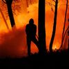 <![CDATA[ Mais de 140 concelhos do interior e da região do Algarve em risco máximo de incêndio ]]>