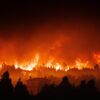 <![CDATA[ Fogos já consumiram quase 42 mil hectares, oito vezes mais do que em 2024 ]]>