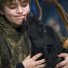 <![CDATA[ É tudo uma questão de comunicação: estes são os 5 motivos pelos quais os cães dão lambidelas! ]]>