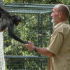<![CDATA[ Macacos ajudam veteranos de guerra a ultrapassar stress pós-traumático ]]>