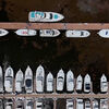 <![CDATA[ Imagens de drone mostram mar completamente castanho em Porto Rico ]]>