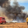 <![CDATA[ Incêndio de grandes dimensões ameaça casas na Califórnia   ]]>