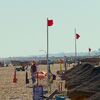 <![CDATA[ Banhos proibidos em três praias do Algarve devido a contaminação com a bactéria E.coli ]]>