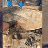 <![CDATA[ PJ caça tonelada e meia de cocaína em contentores com peles de animais. Ex-militar da GNR é um dos detidos ]]>