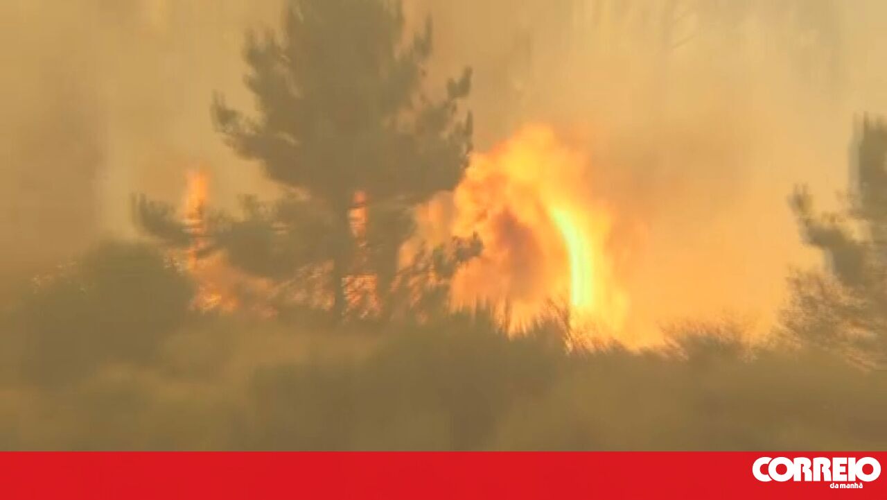 Civil Protection Aims to Control Wildfires in Vila Real and Mondim de Basto Today - Aerial Support Intensifies
