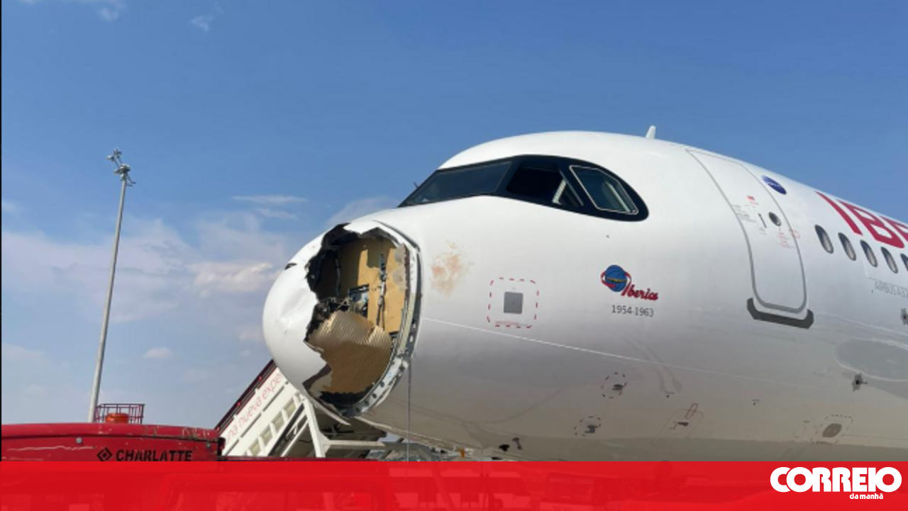 Emergency Landing in Spain After Plane Collides with Large Bird - All Passengers Safe