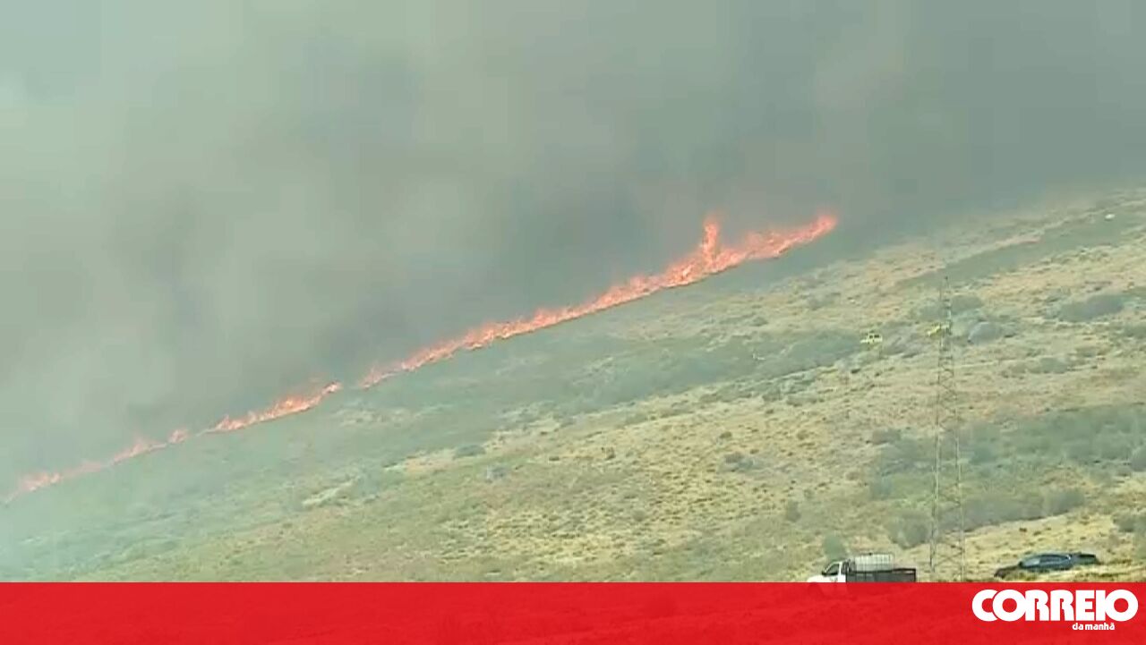 10 Aerial Units Battle Blazes in Ribeira de Pena as Fire Rages On