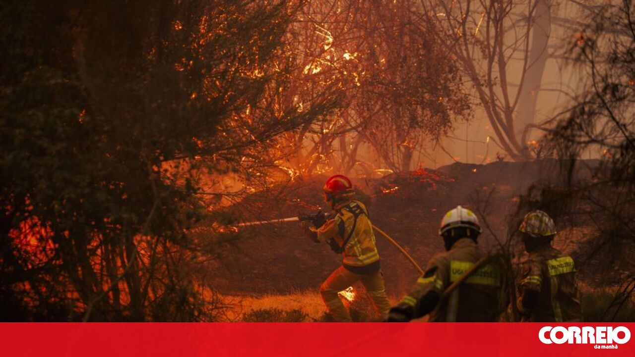 Portugal Battles Raging Wildfires: Over 3300 Firefighters Deployed as Arganil and Sátão Face Critical Situations