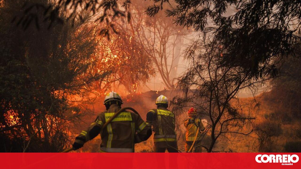 Tragic Loss: Fourth Wildfire Fatality in Portugal as Sabugal Firefighter Succumbs to Injuries