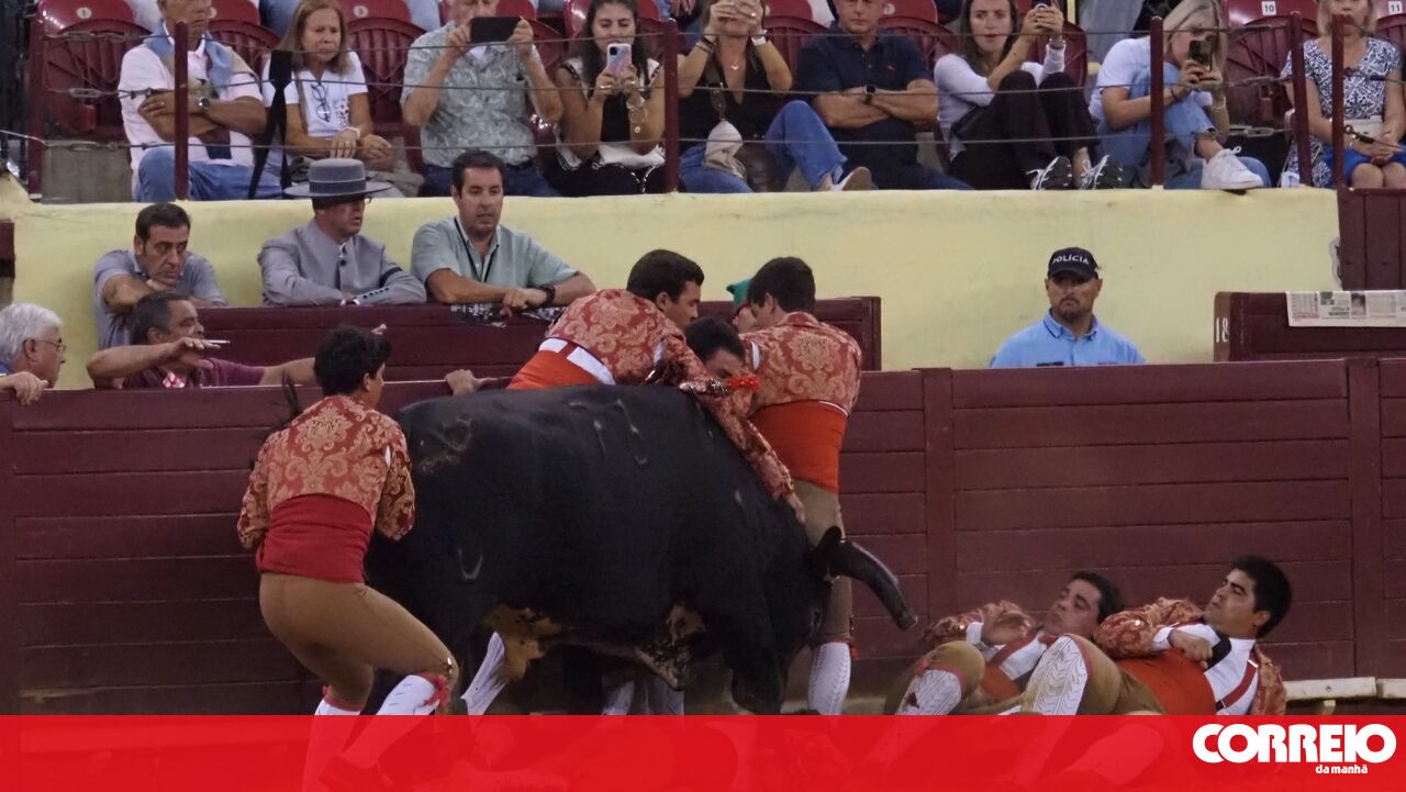 Tragic Death of Young Bullfighter Manuel Trindade After Severe Injury in Campo Pequeno