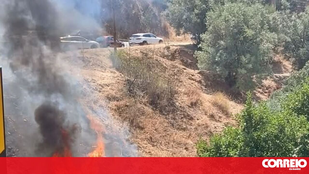 Tragic Car Crash on Algarve's N266 Claims Five Lives as Vehicle Bursts into Flames