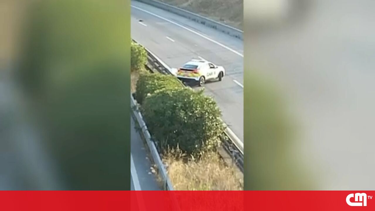 Tragic Motorcycle Collision on A8 in Torres Vedras Claims Life