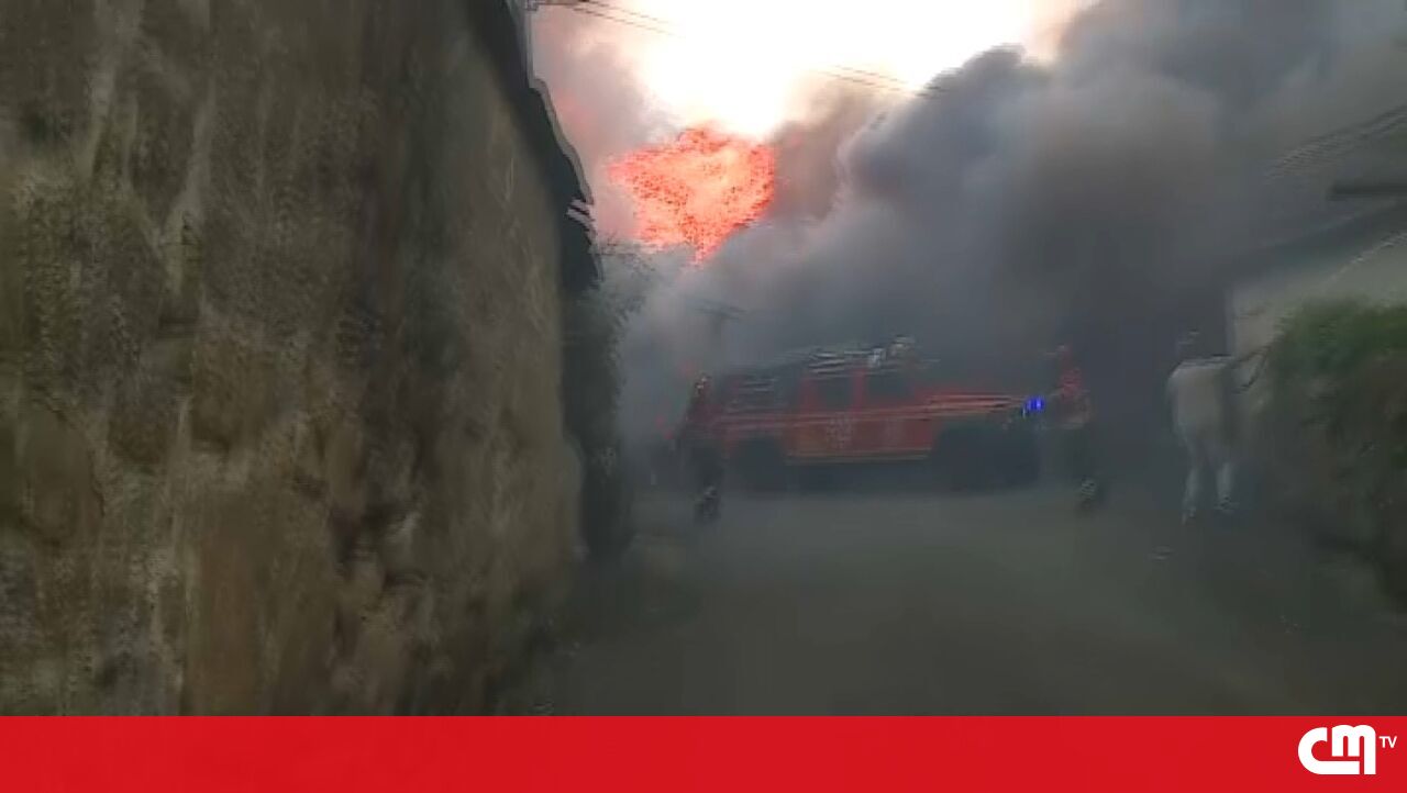 Dramatic Escape: CMTV Team Witnesses Uncontrolled Wildfire in Oldrões
