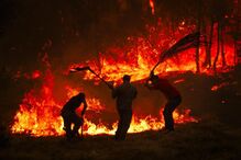 Incêndio na serra do Alvão, Vila Real