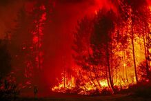 Incêndio na serra do Alvão, Vila Real